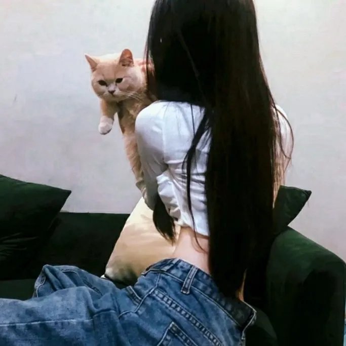 穴界风云